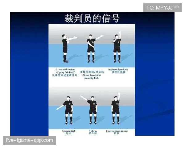 裁判体系中第四官员的职责与替换条件