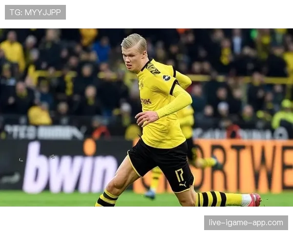 哈兰德强强对话表现稳定性与进球效率分析