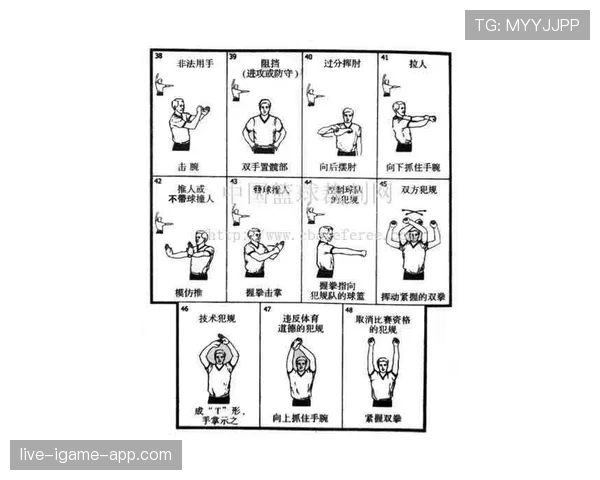 深度解析裁判手势规则：常用手势含义与判罚